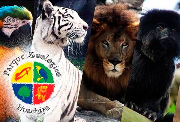 Parque Zoológico Huachipa
