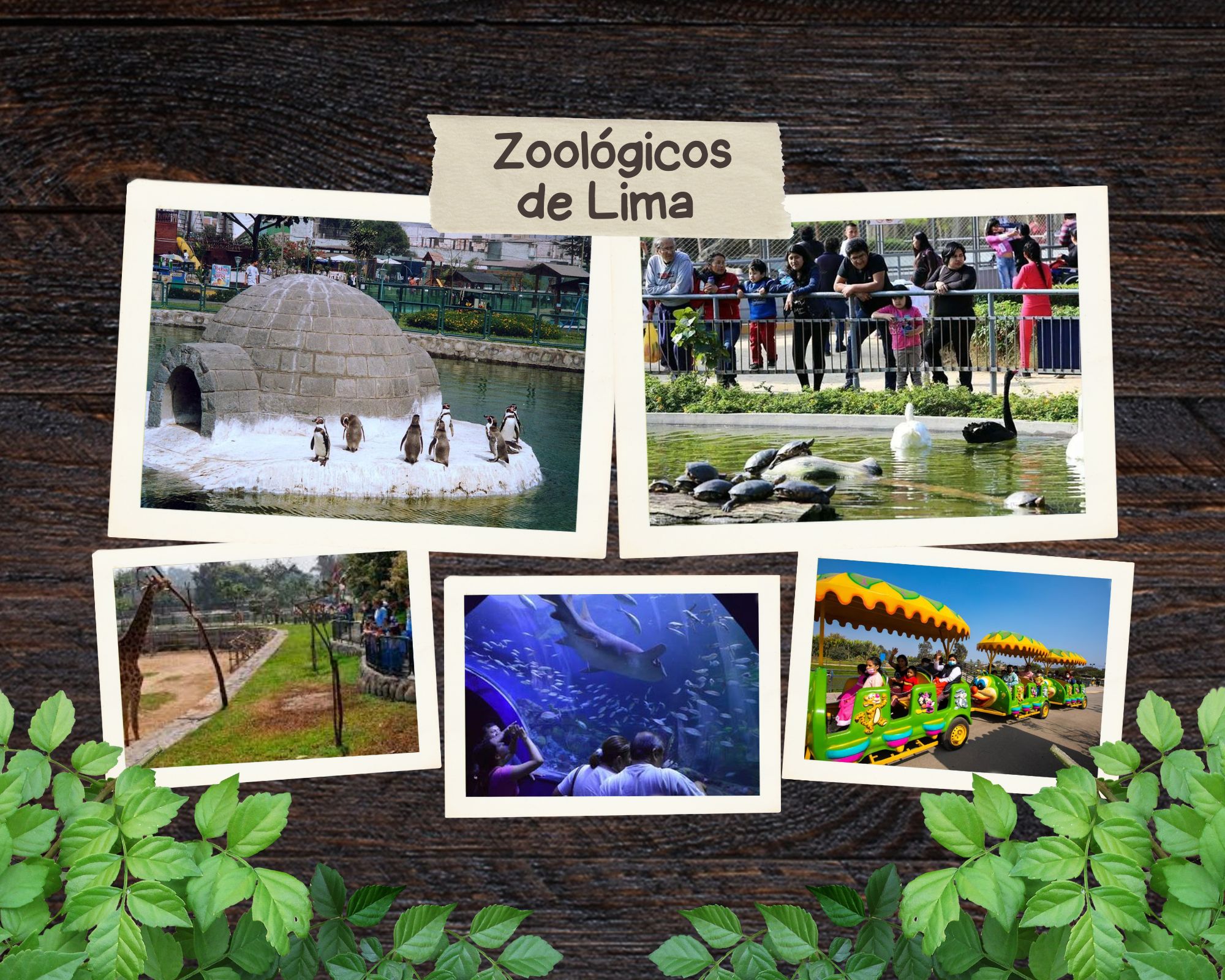 Zoológicos
